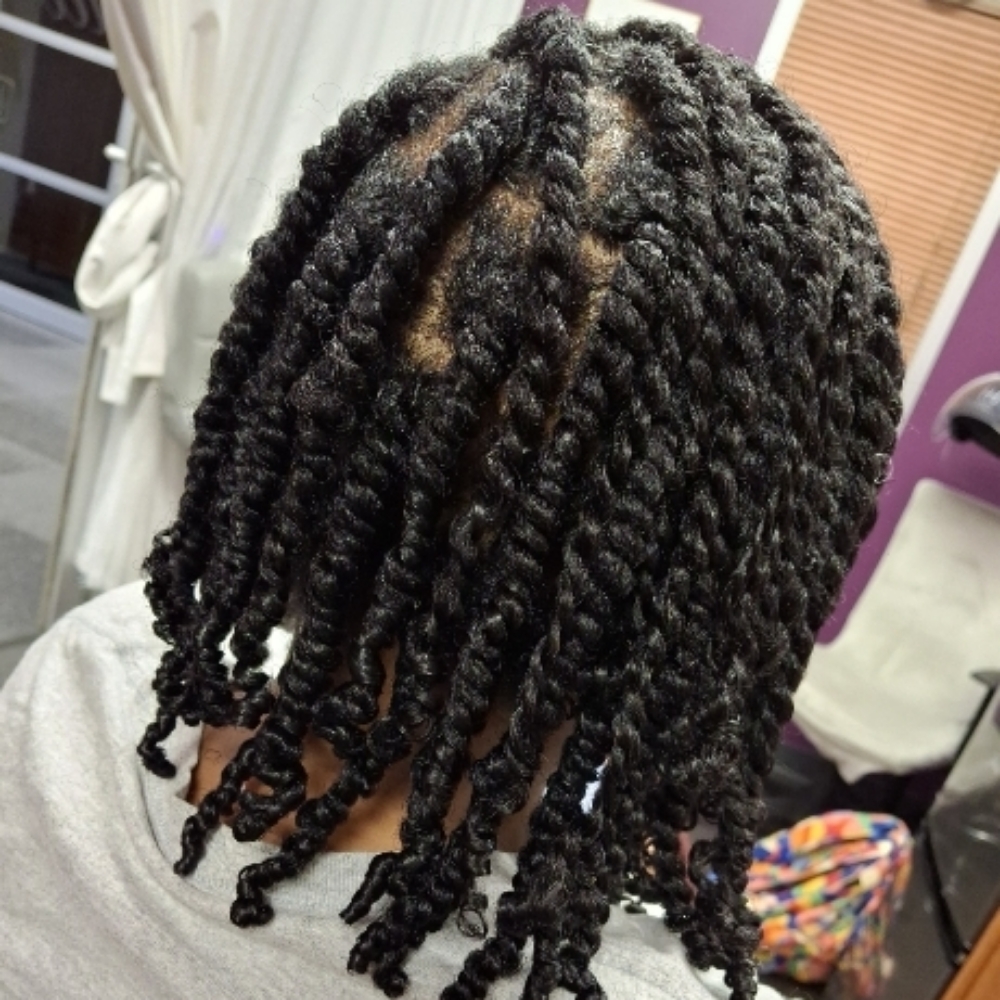 Twists(Natural Hair Only) at KBearsBeauty in Lyndhurst, OH
