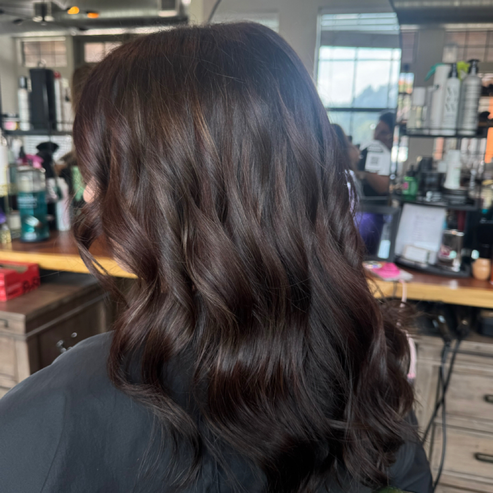 Gloss/Toner at Wild Mane Beauty in Georgetown, TX