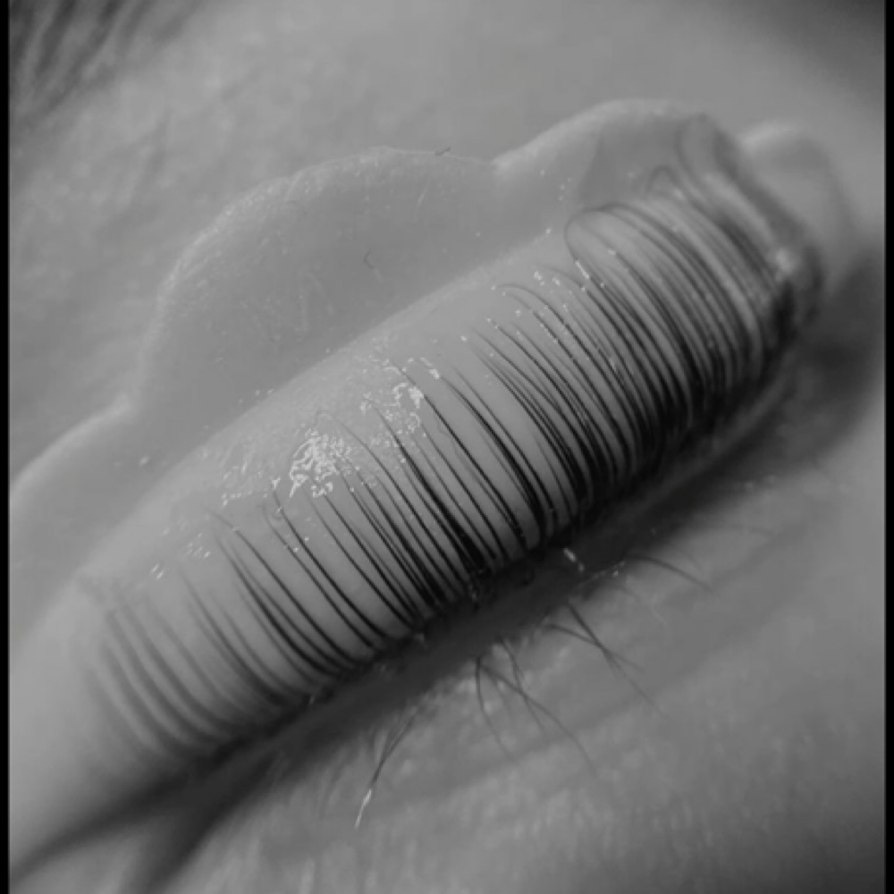 Korean Lash Lift + Tint at Boss Babes Lash & Beauty in Guymon, OK