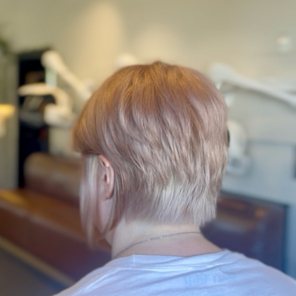 Bleach Root Touch Up at Jillian Marquez in Tustin, CA