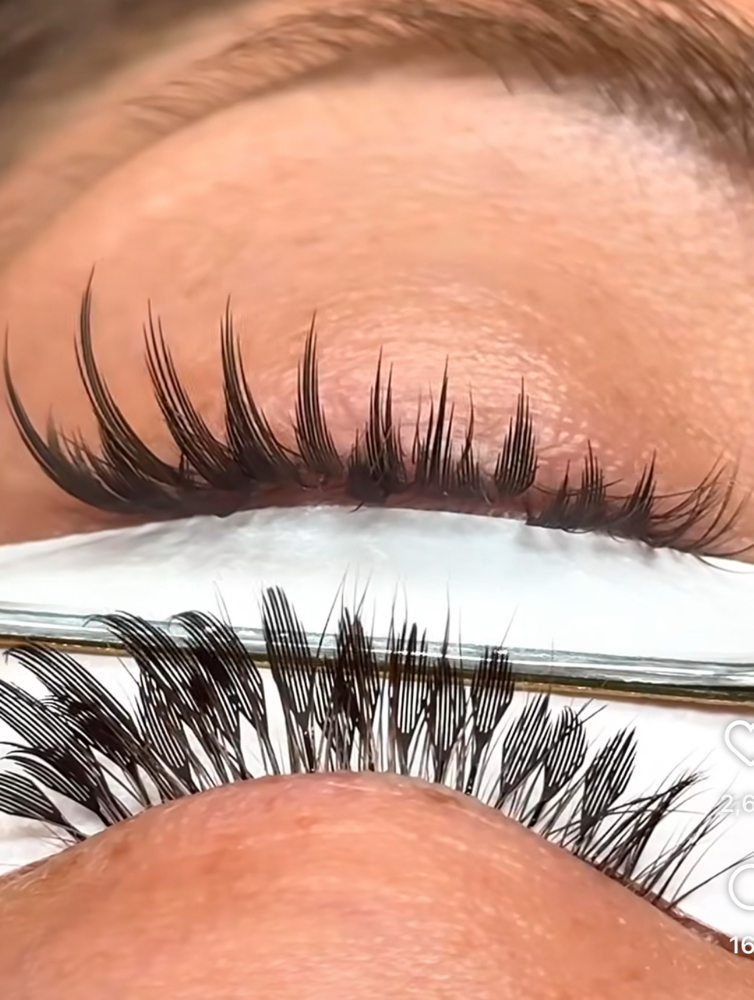 Half Set Lashes