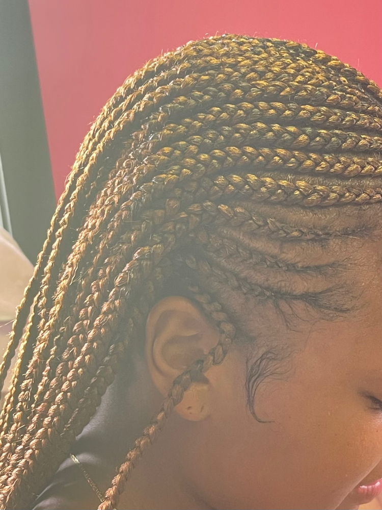 Fulani / Tribal Braids