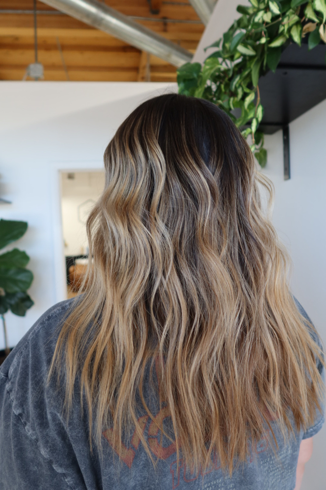 Dry Haircut Plus Style