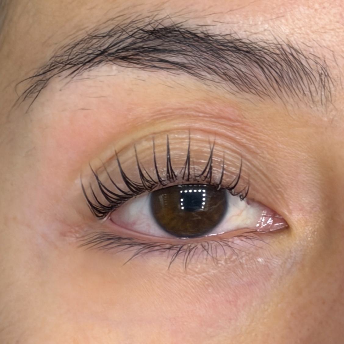 Korean Lash Lift at OpalSknStudio in Marina Del Rey, CA