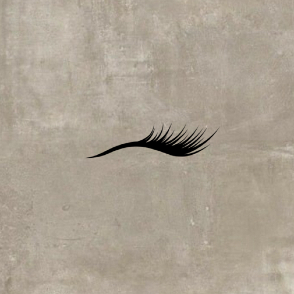 Strip Lash Application at Elan Beauty Salon in Bethel Park, PA