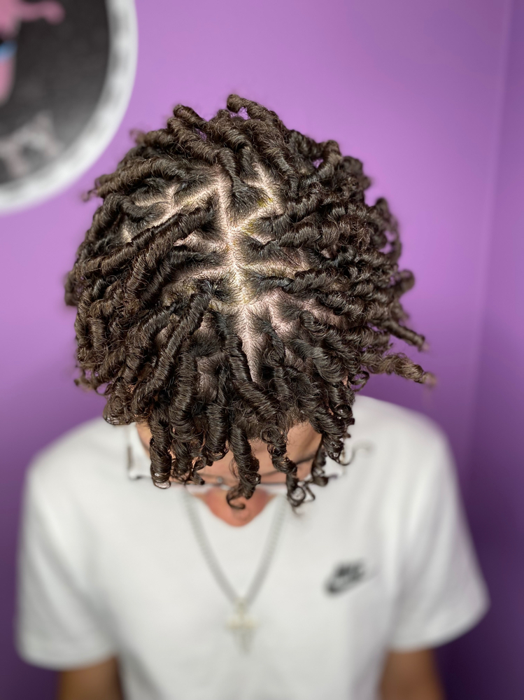 Starter Locs/coils Half- Head