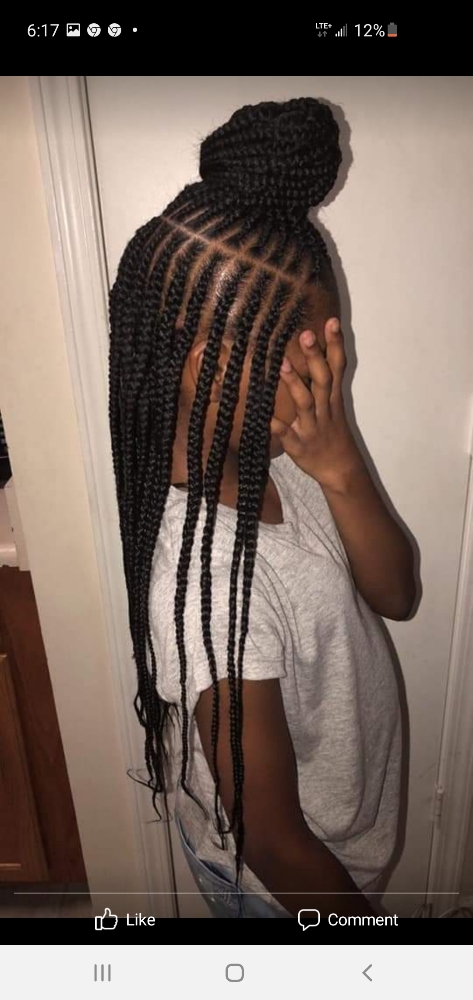 3 Layered Braids