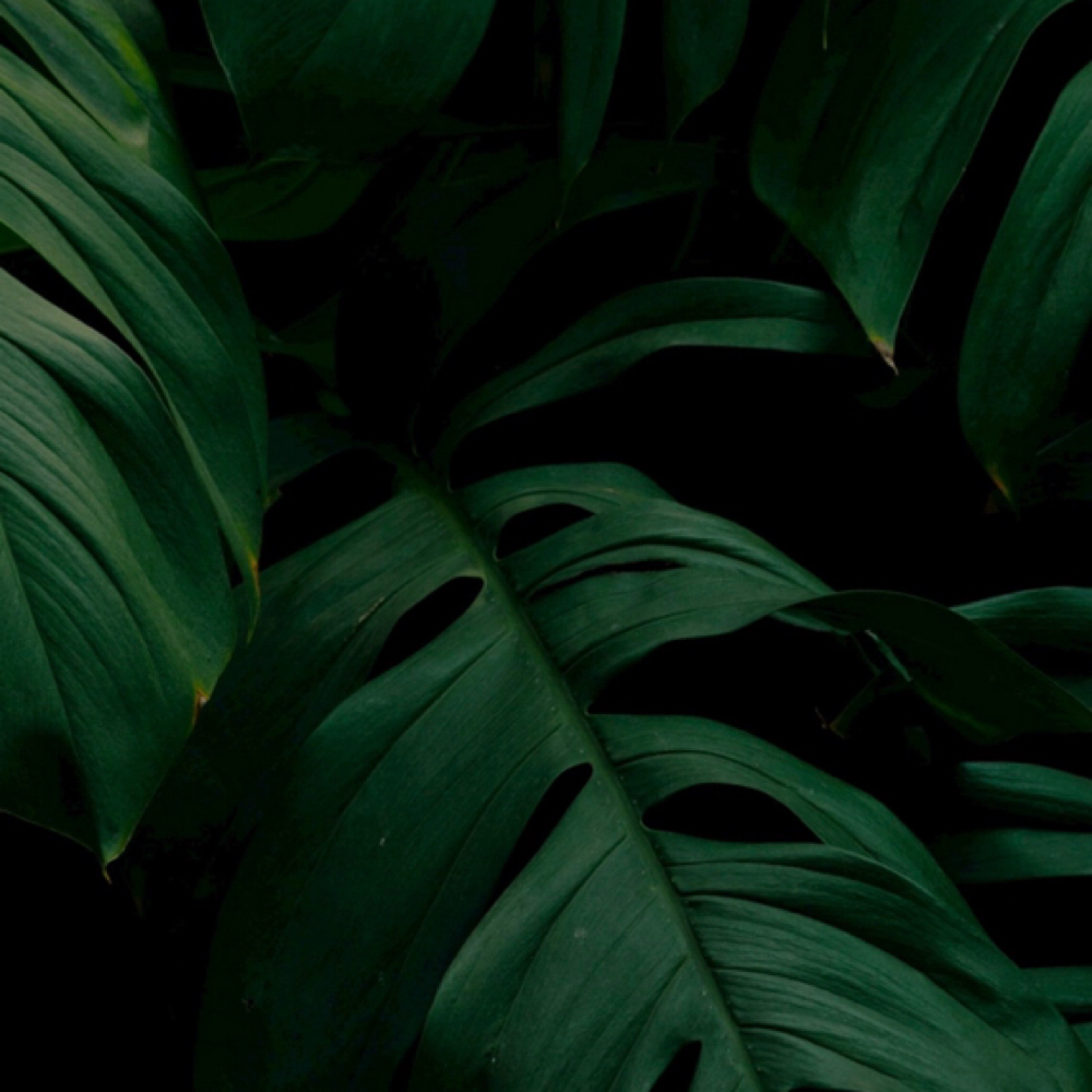 Lip Wax at Just Peachy Beautie Bar in Sheboygan, WI