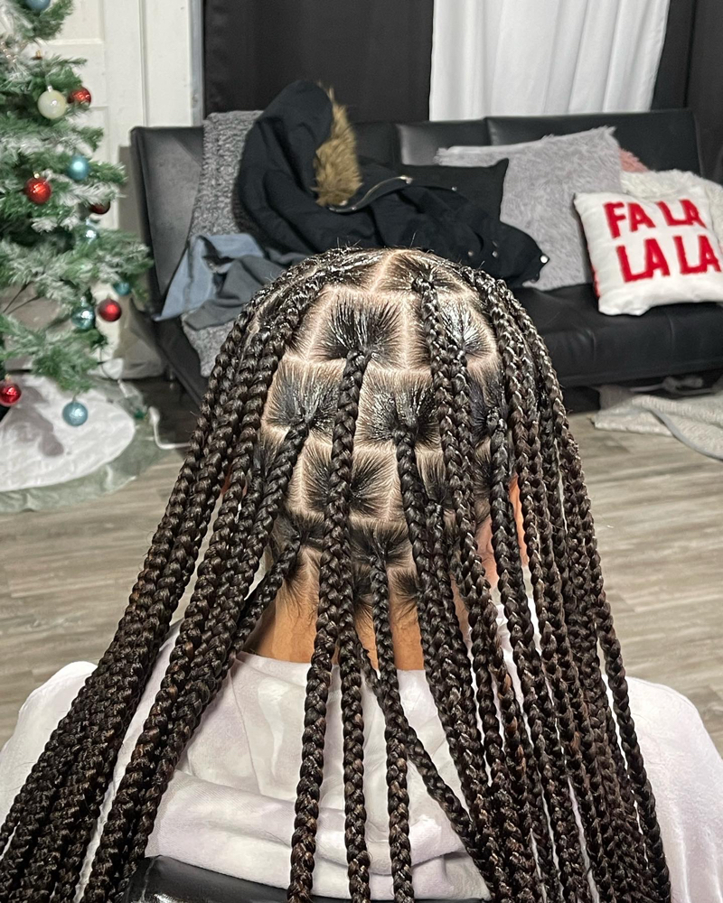 Medium Knottless Box Braids