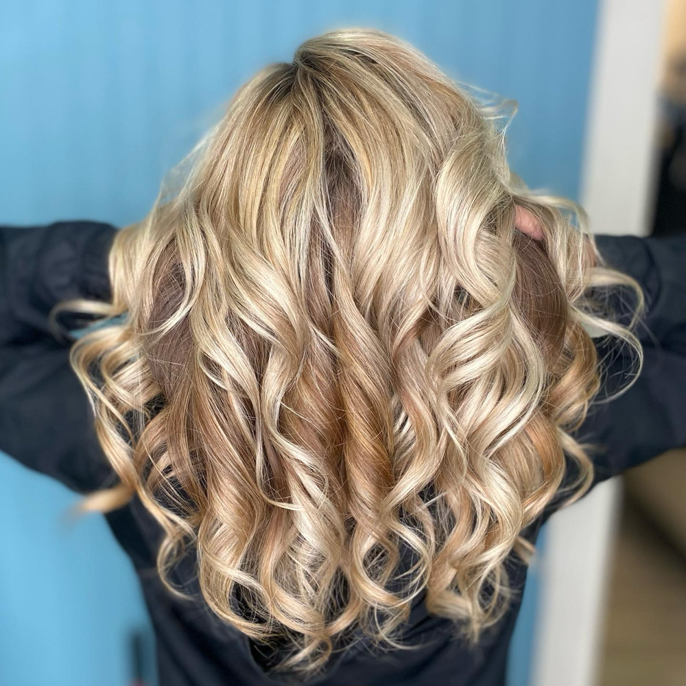 Highlights