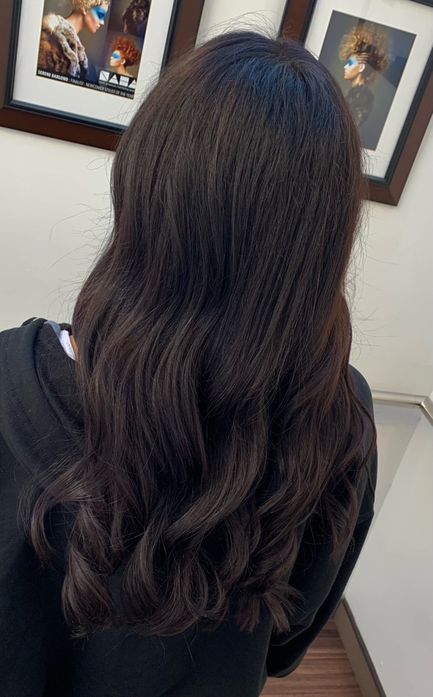 Full Head Color at Blended Beauty Studio LLC in Lansing, MI