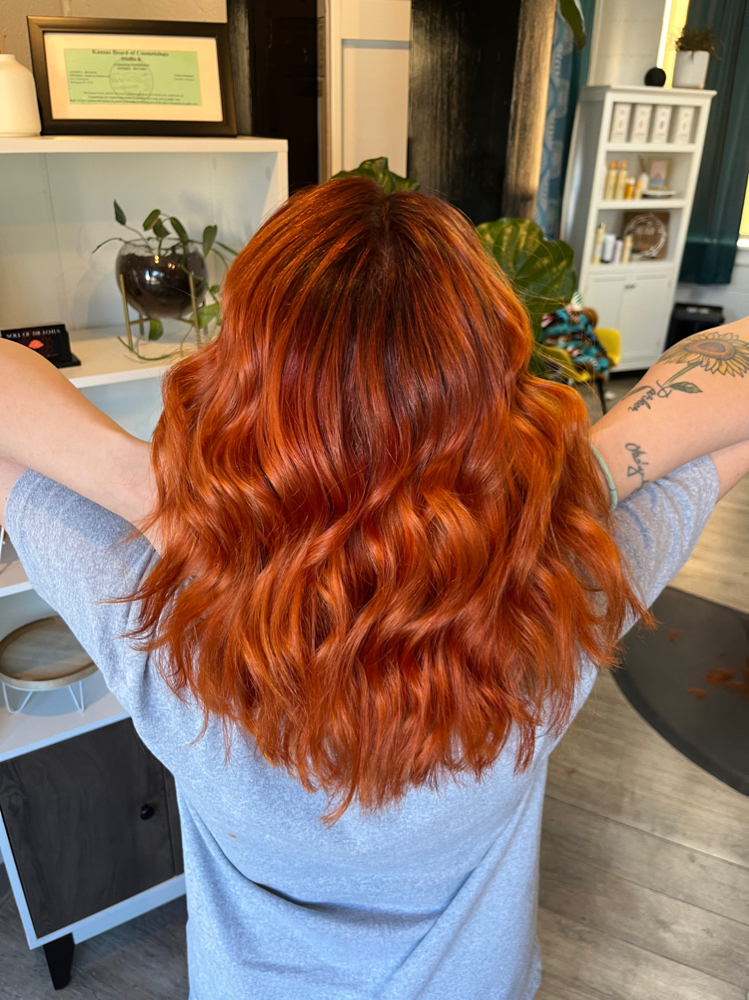 All Over Hair Color w/ Hair Cut
