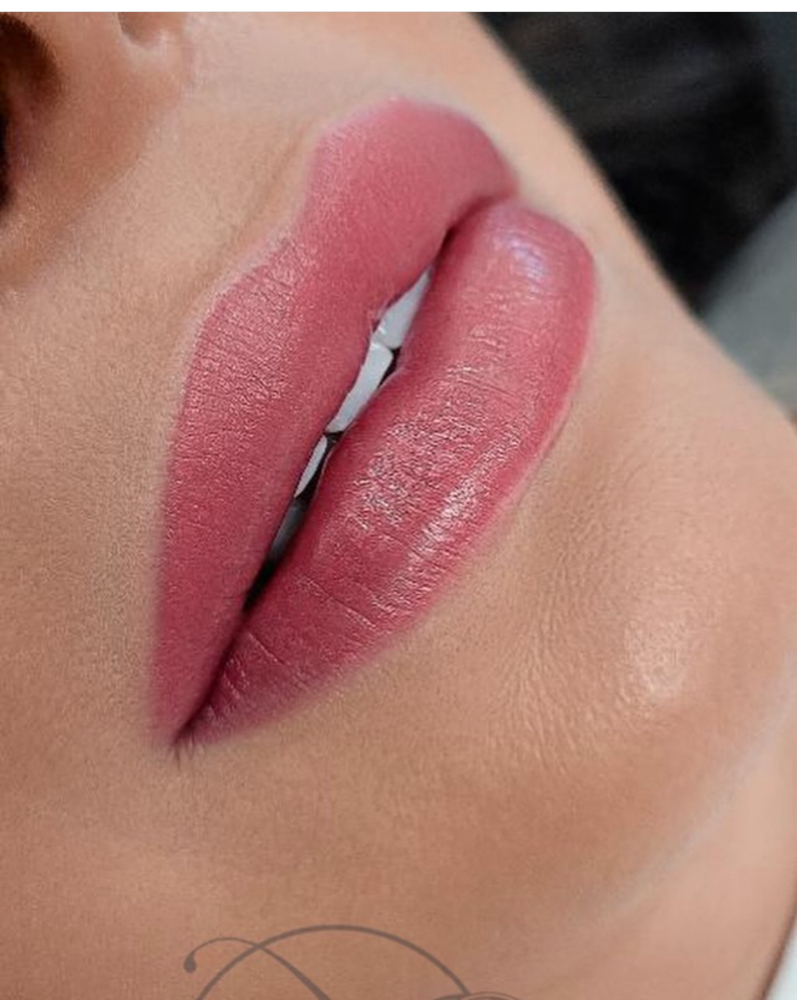 Lip Blush - PMU at VINE Studios Permanent Cosmetics in Maple Valley Wa, WA