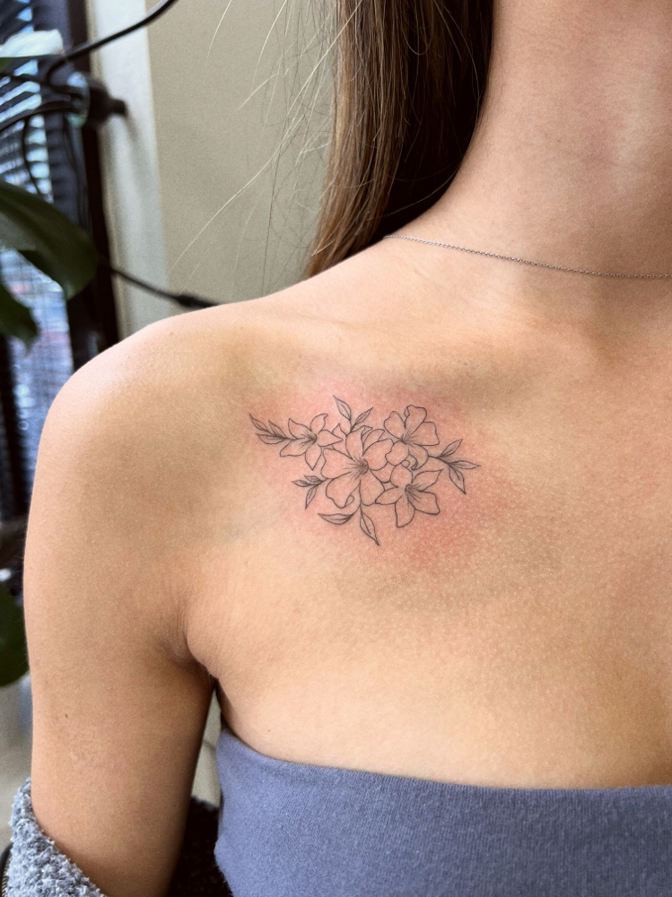 Fine Line Tattoo Touch Up