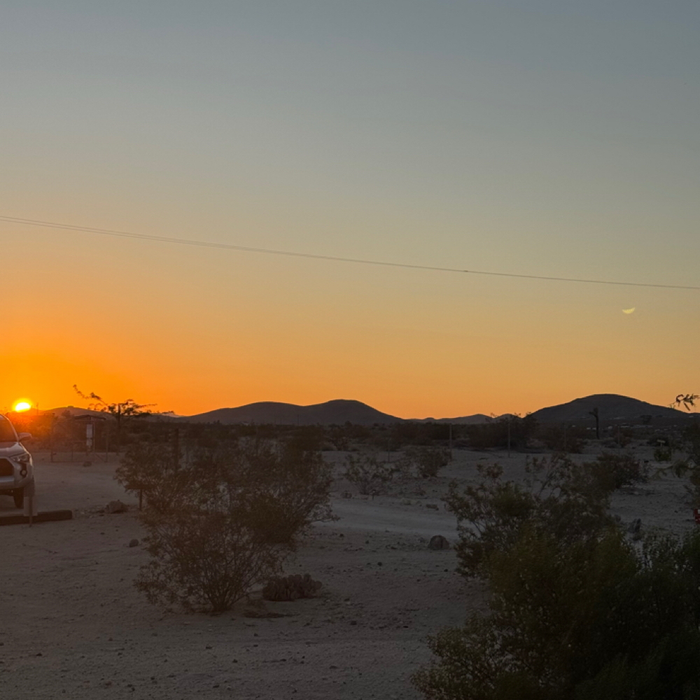 Extra Bowl Of Color at Indigo Salon @ Beaumont in Lexington, KY