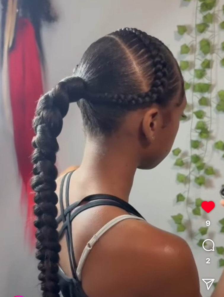 Braided ponytail