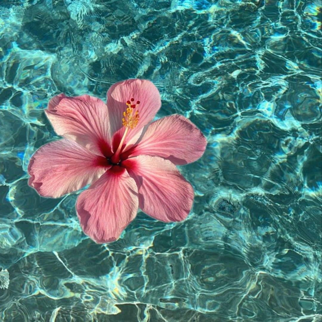 Foreign Fill at Lash World Studio in Live Oak, TX