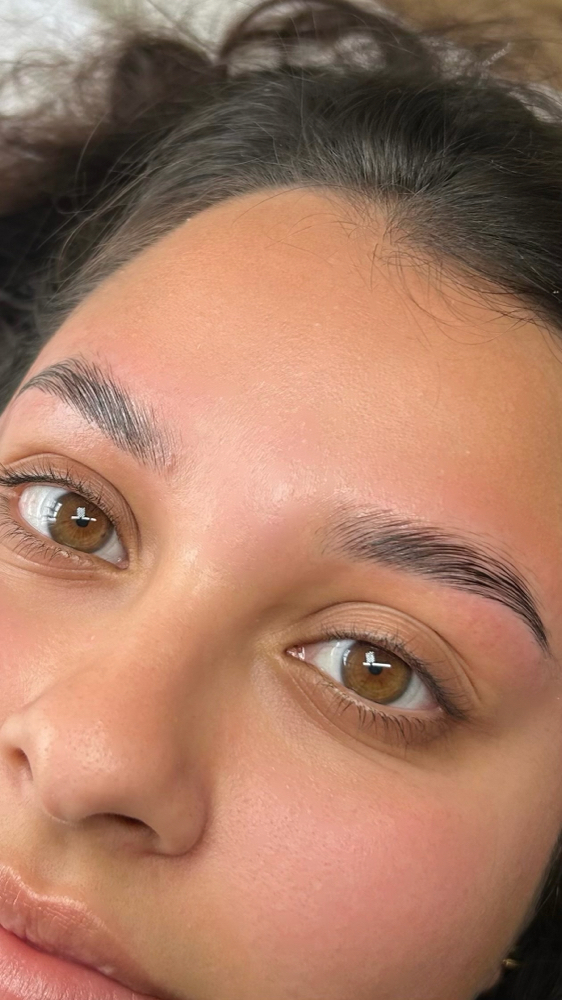 brow lamination