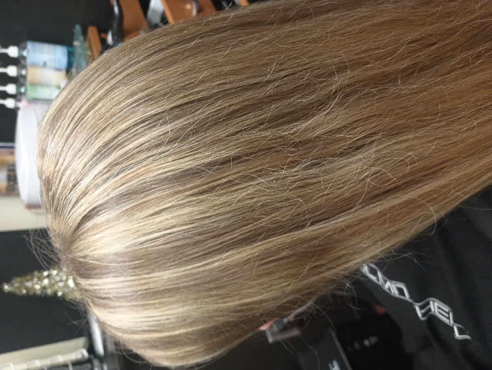 Highlights Long Hair