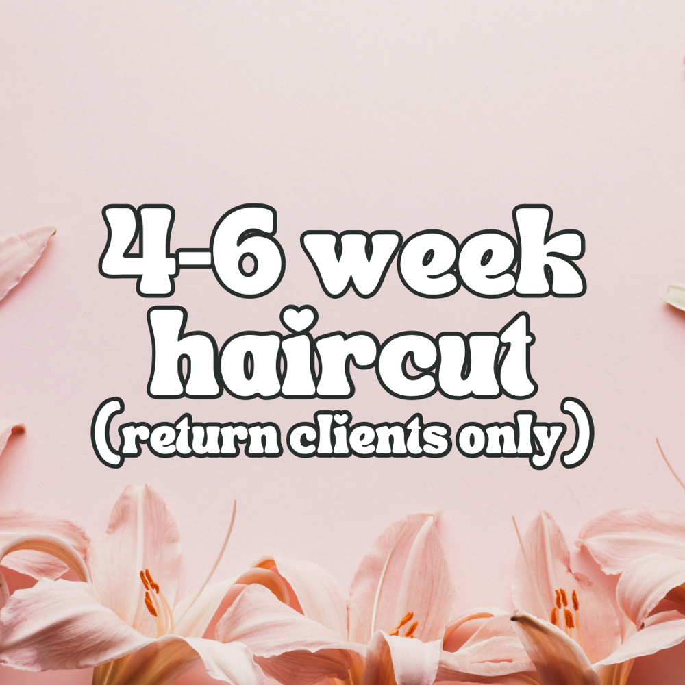 4-6 Week Haircut (Return Clients Only)