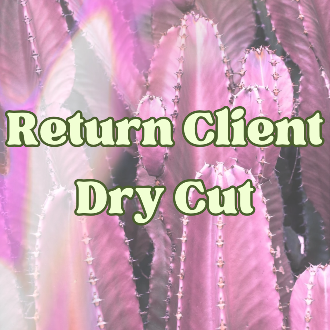 Return Client Dry Cut at Hailey Kay Hair in Minneapolis, MN