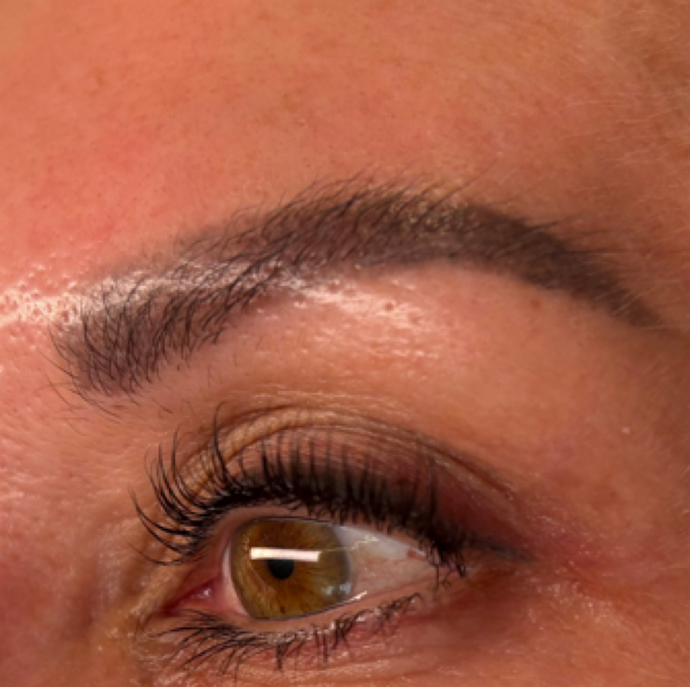 BROW TINT at Mattie’s Aesthetics in Aptos, CA