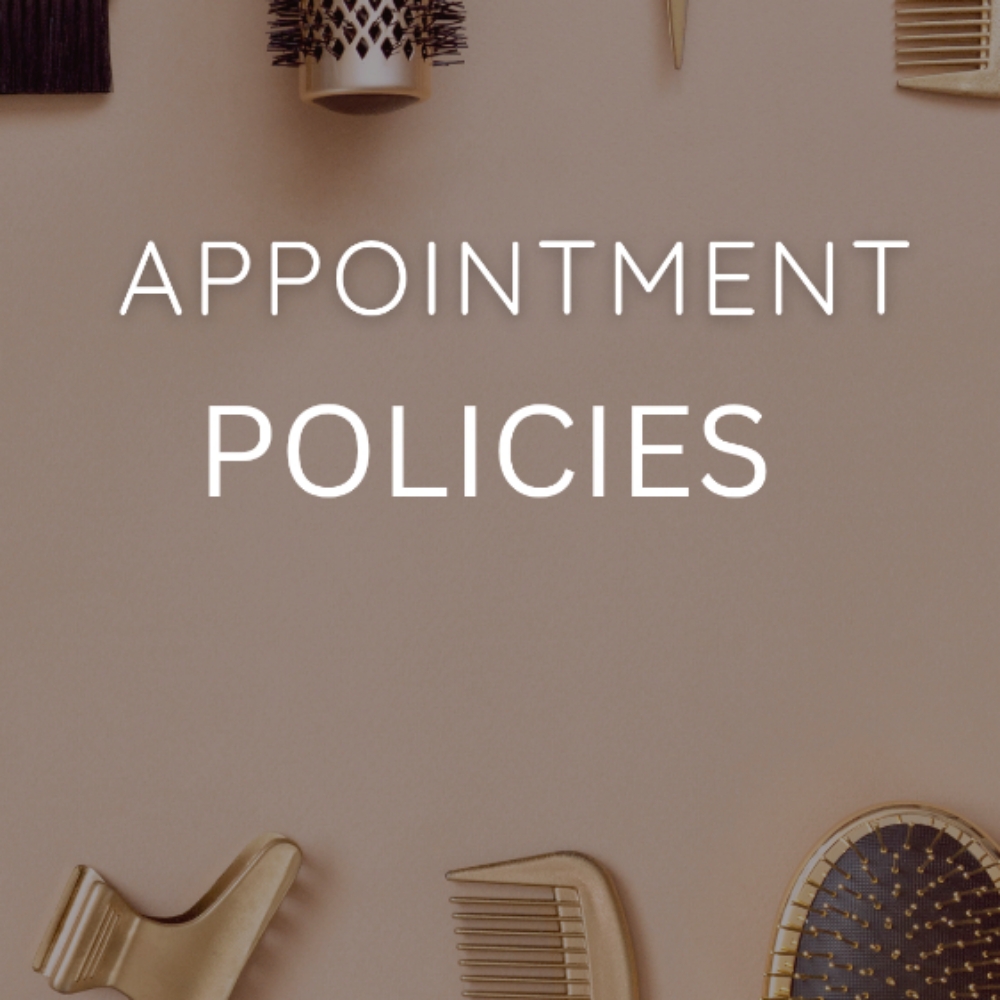 BRAID APPOINTMENTS POLICIES at Trulydivine2 Salon in Fayetteville, AR