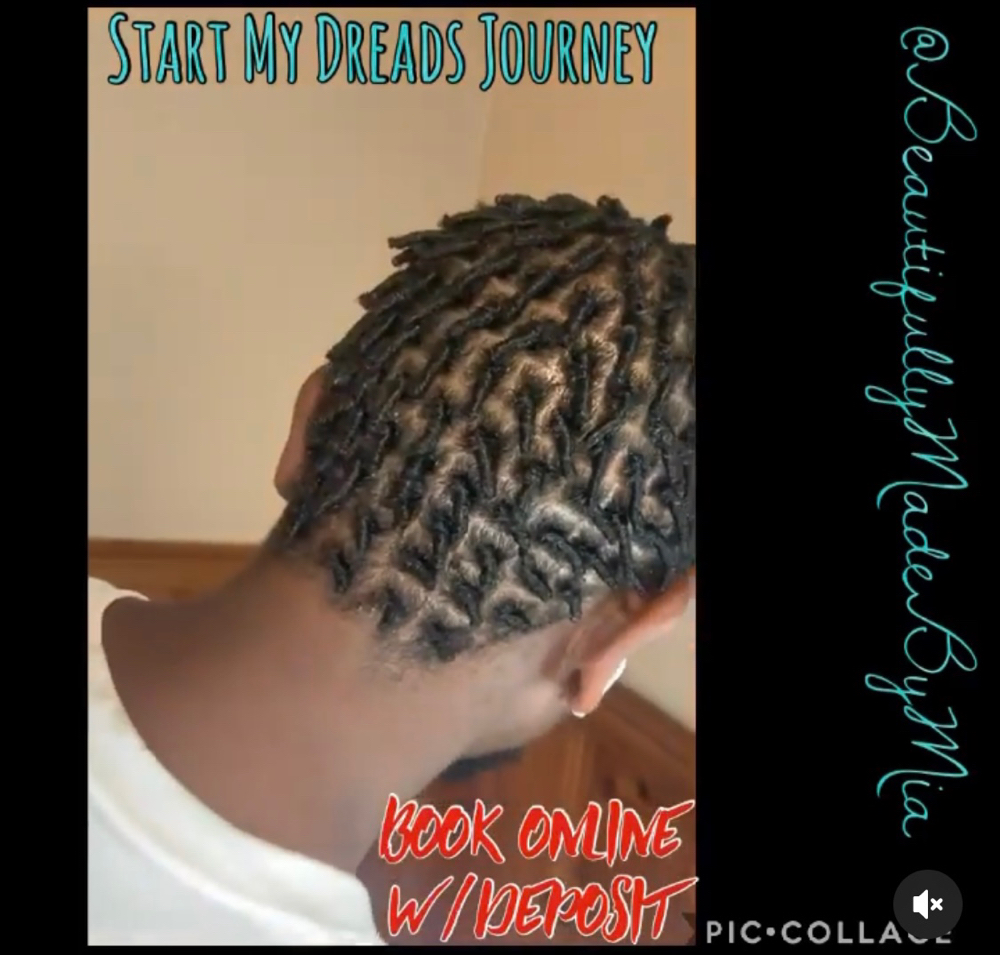 Starter Locs/Comb Twist