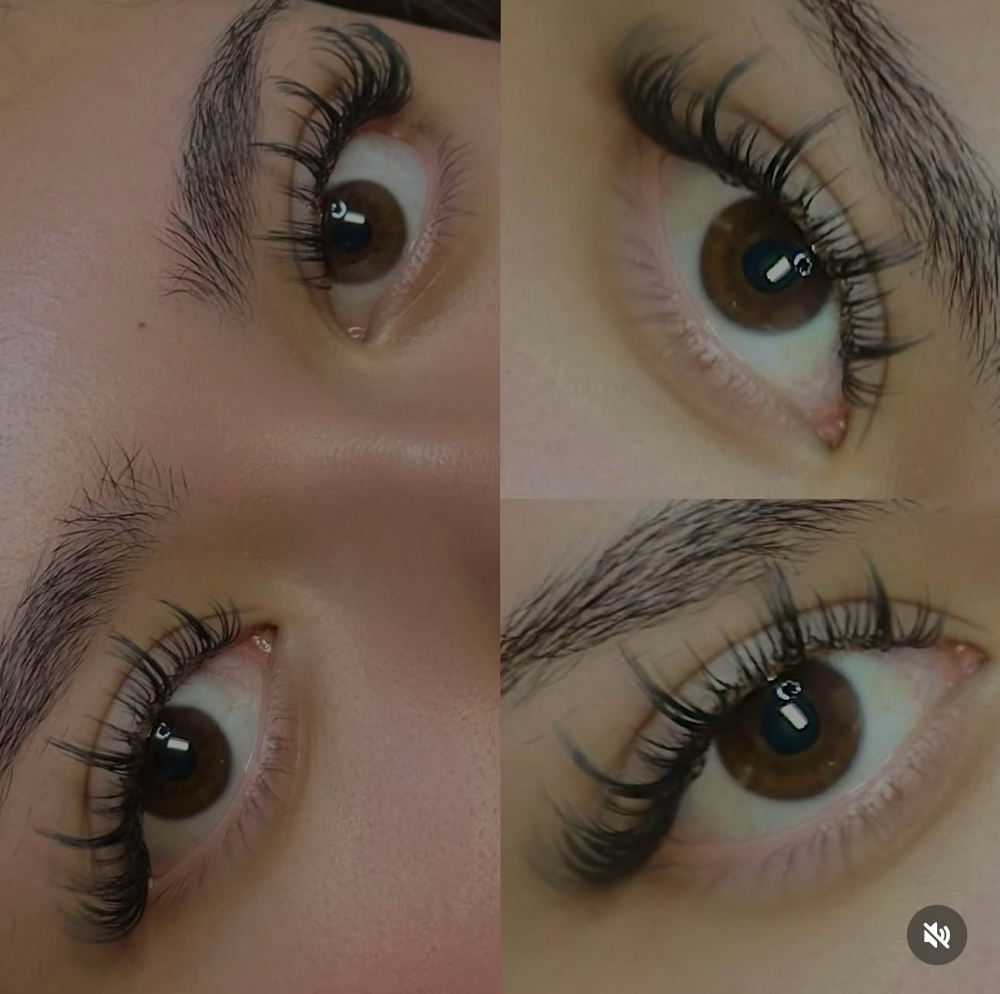 ✦ Classic Wispy ✦