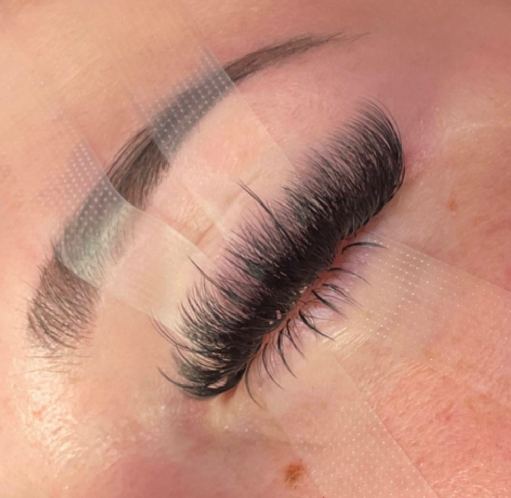 Bottom Lashes