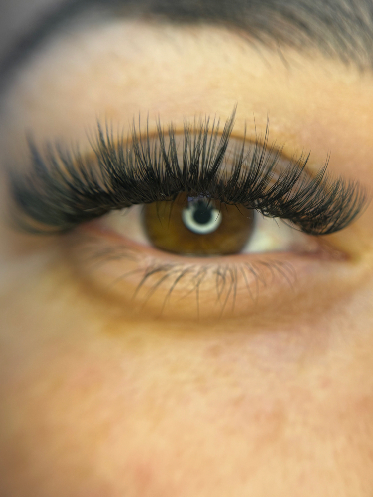 3 Week Lash Fill