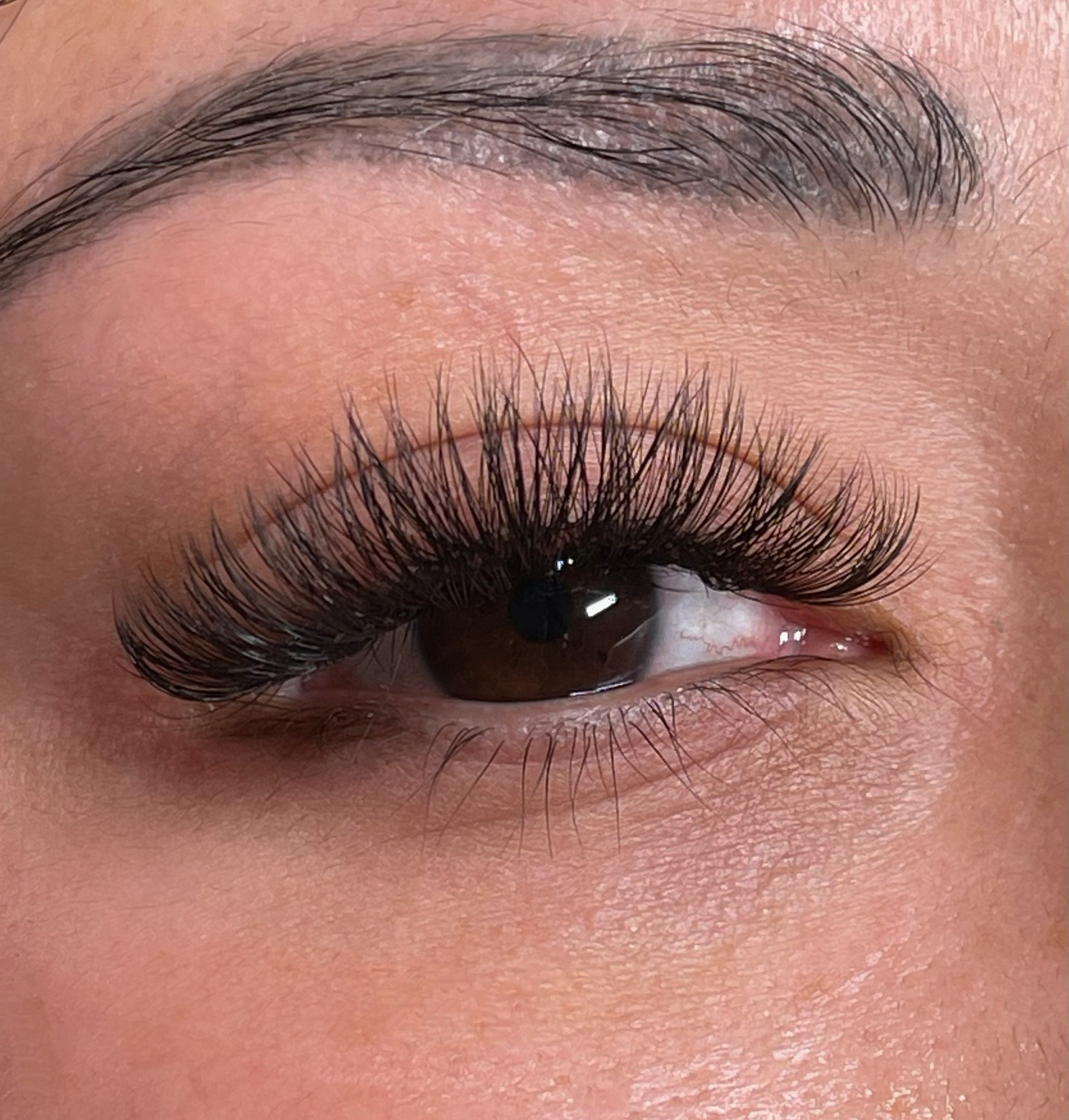 Light volume mini refill at Black Swan Lash Studio in Houston, TX