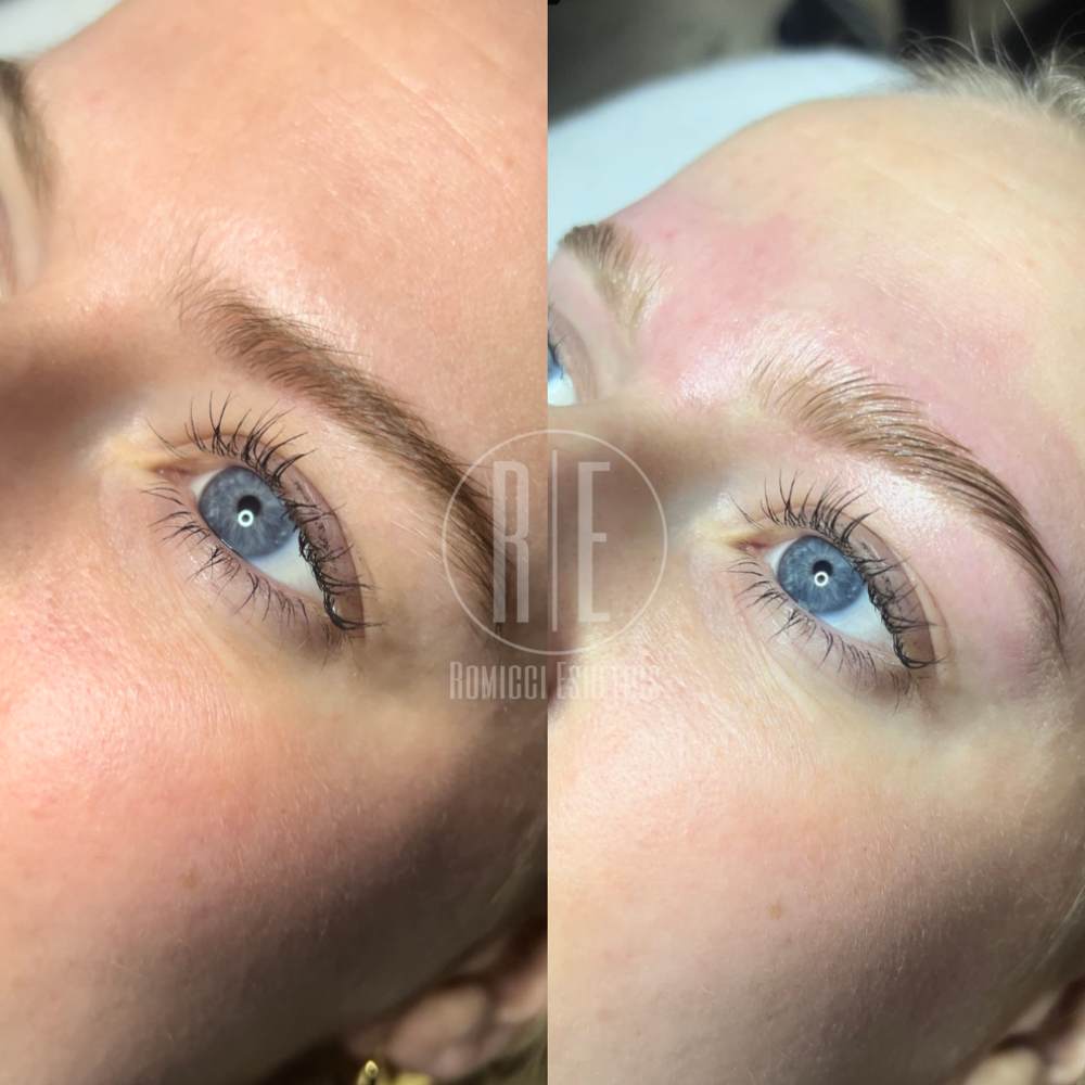 Brow Wax Only
