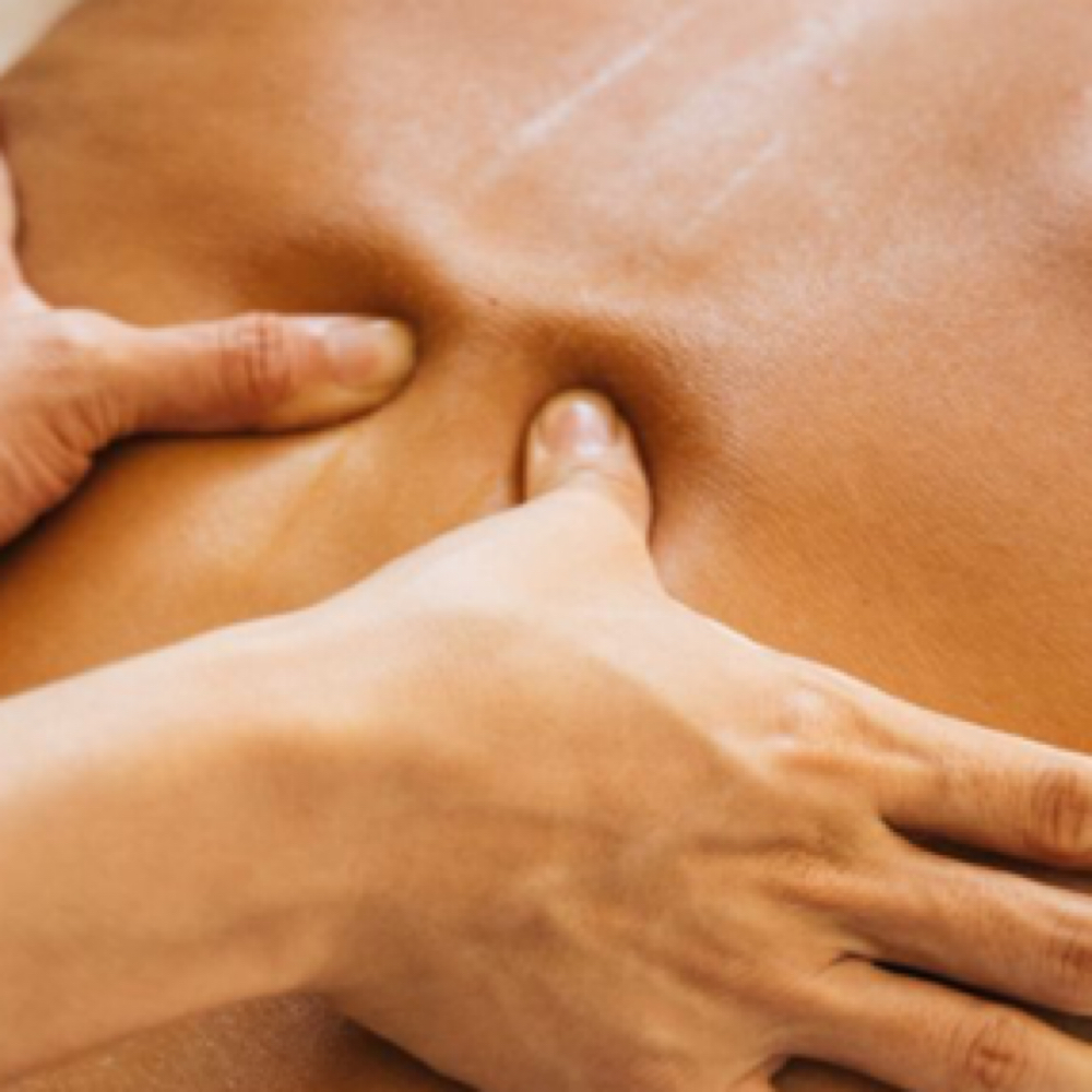 Myofascial Targeted Therapy at SN MASSAGE in Griffin, GA