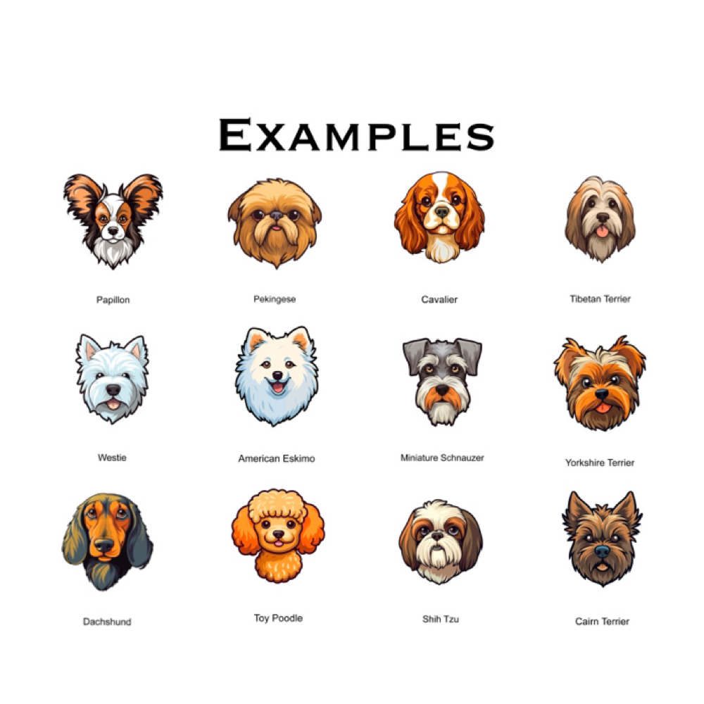 Small Groom (2nd Dog) at Houndstooth Grooming in Joliet, IL