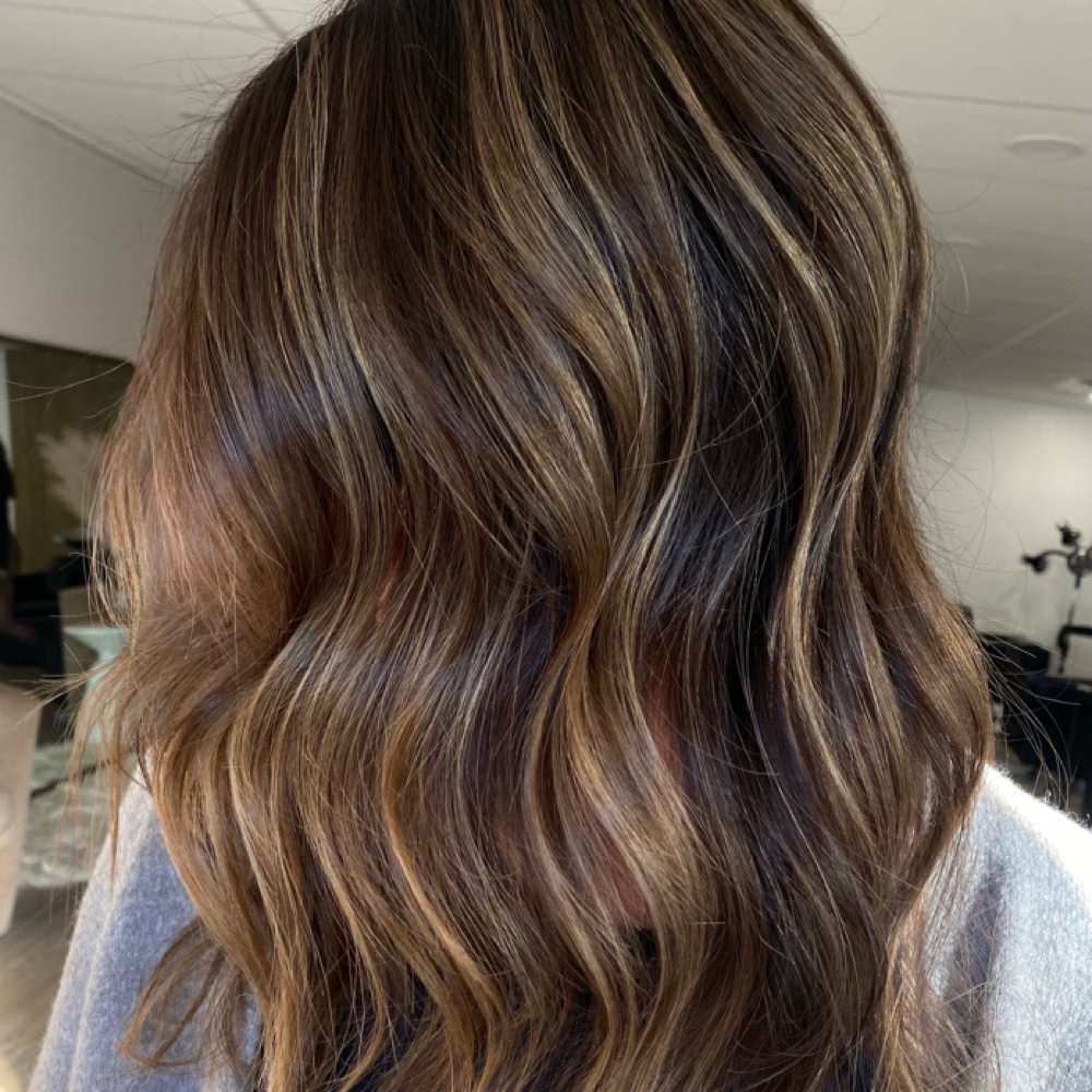 Partial Lived In Color at Dakota Beach Gölden Salon & Co. in Plymouth, MI