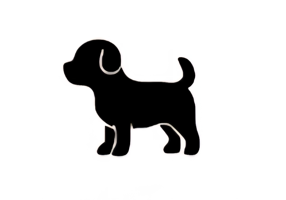 Bath Small Dog at Fifi's Dog Grooming in Strongsville, OH