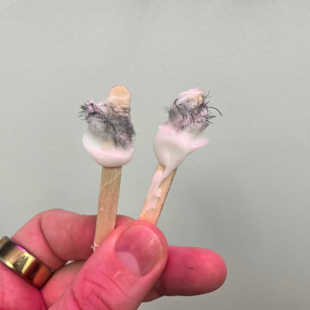 Nose Wax at Precision Beauty Lab in Frisco, TX