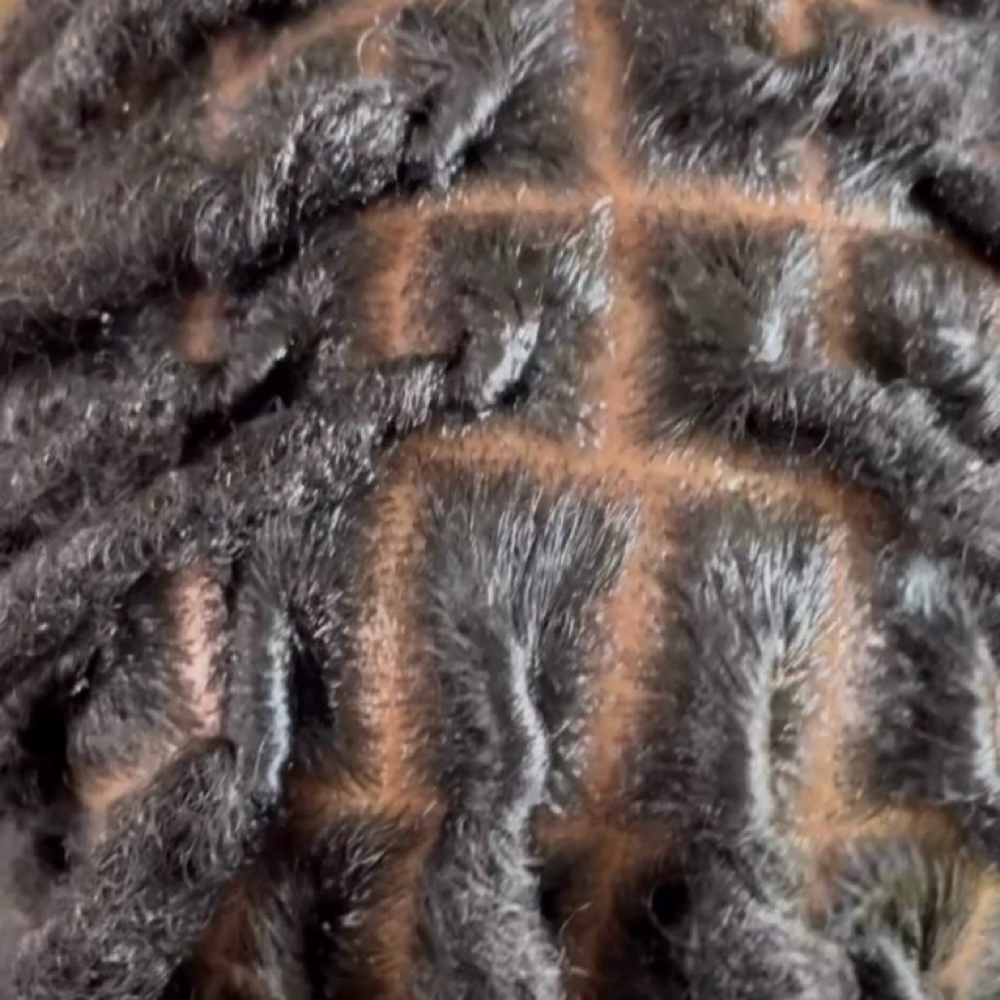 Large Size Loc Maintenance at Queen Of The Crown in Charlotte, NC