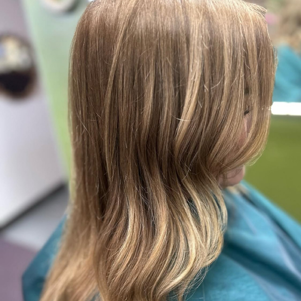 Touch Up/ Haircut at Alicia Ann & SueAnna Marie Hair in Southgate, MI