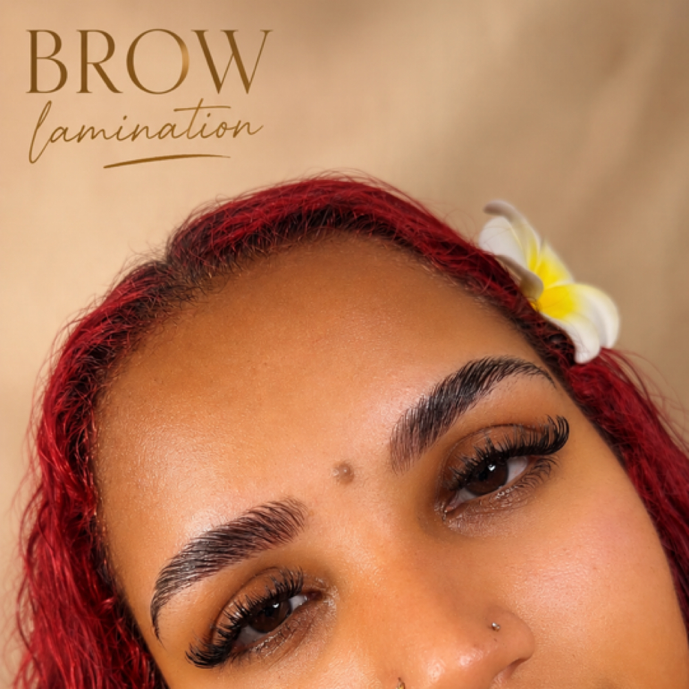 Brow Lamination + Tint & Wax at Almo Nail Atelier in Butler, NJ