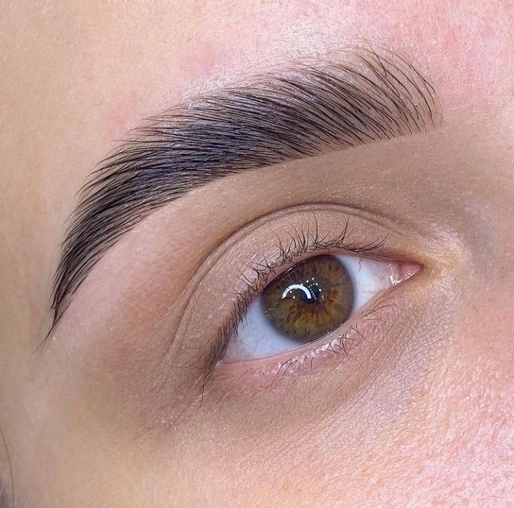 Brow Lamination+wax + Hibrid Dye at Dfwbrowsbyvannemorales.com in Fort Worth, TX
