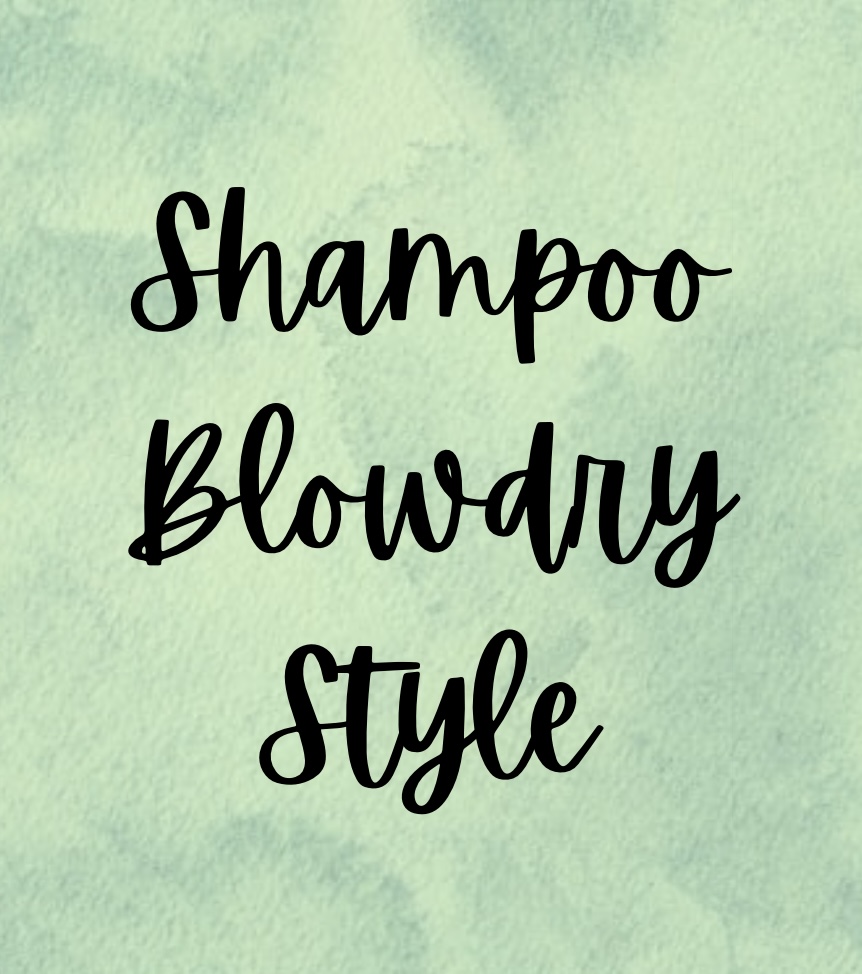 Shampoo, Blowdry and Style