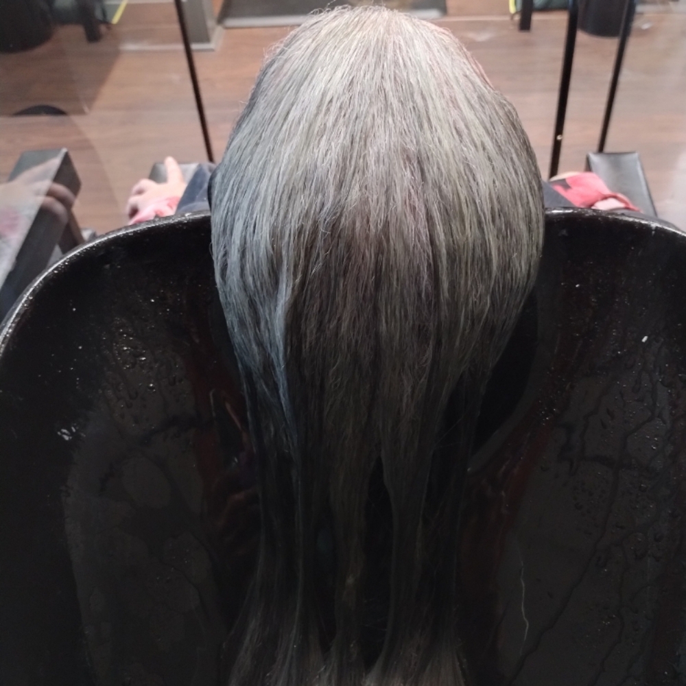Silver Lining Transition at Cornucopia Hair Atelier in Memphis, TN