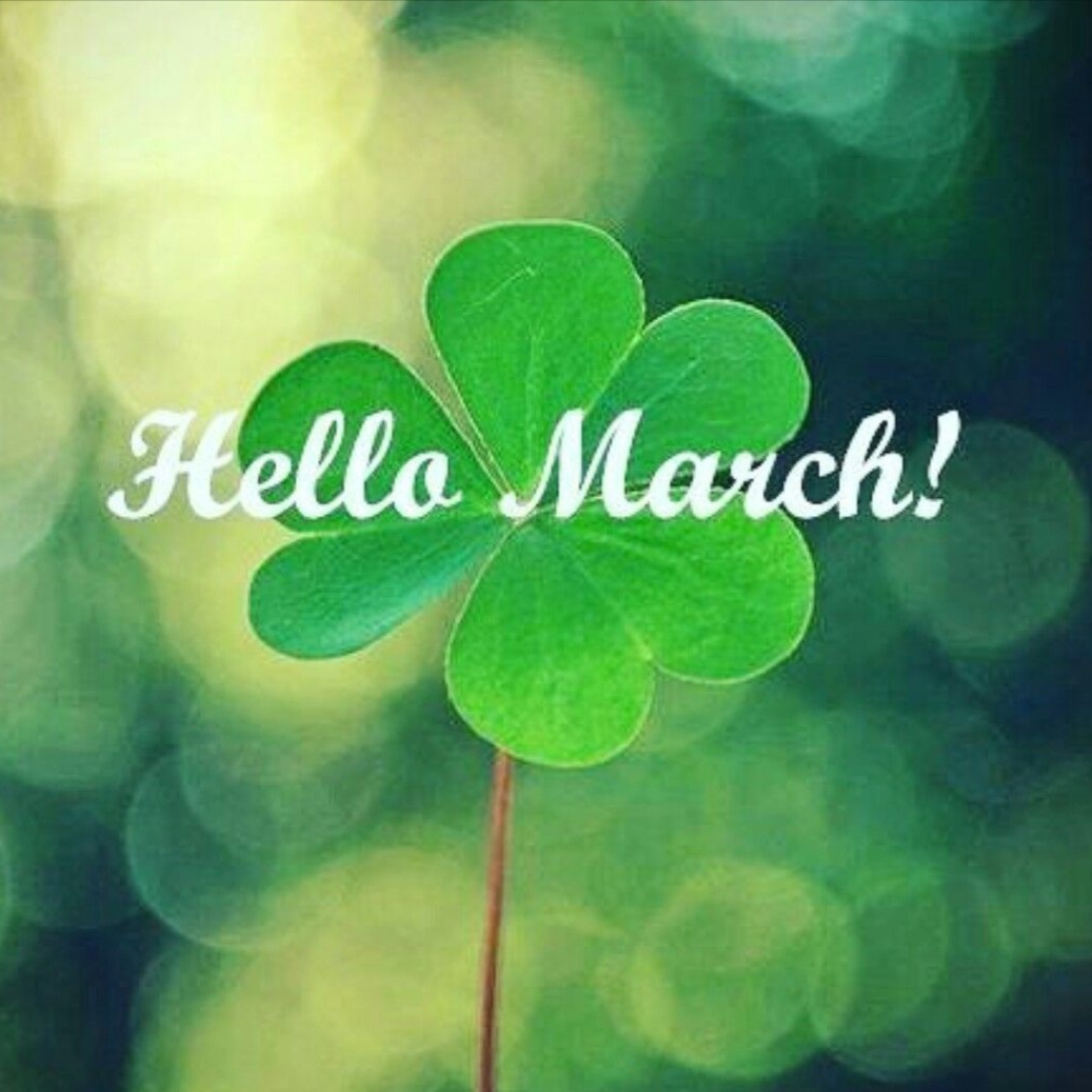 March Spring Renewal Facial at Mirror Esthetics in Bloomington, IL