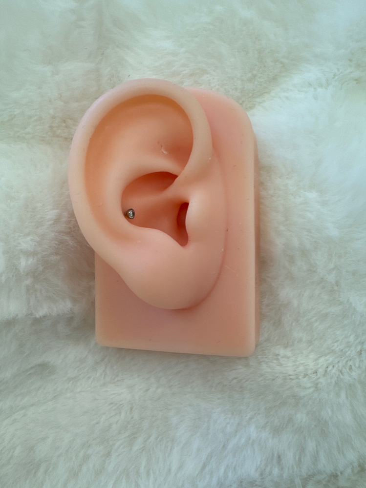 Conch
