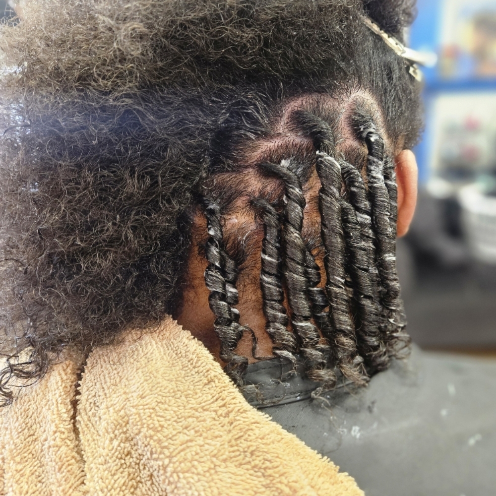 Starter Locs Consultation at Mane Attraxion Beauty in Indianapolis, IN
