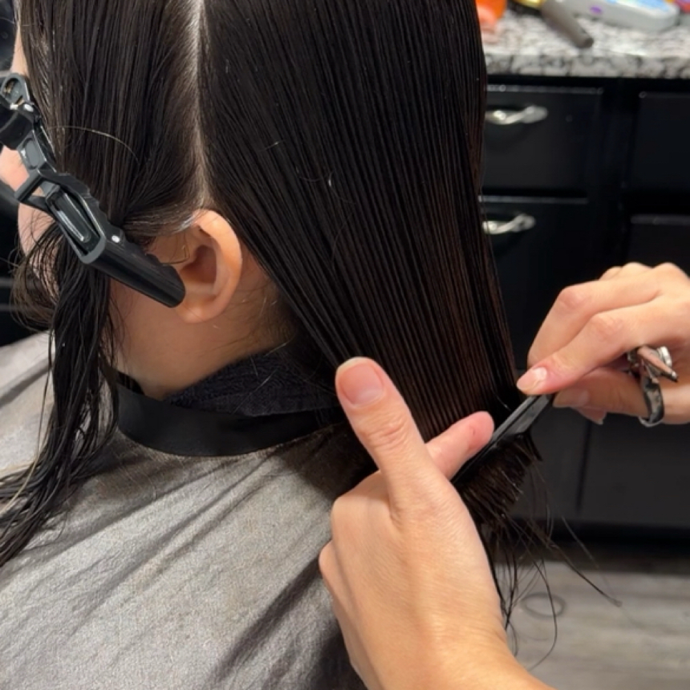 Basic Haircut at Azul Hair Salon in Longview, TX