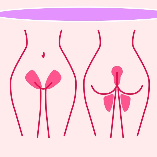 French Wax (Female Only)