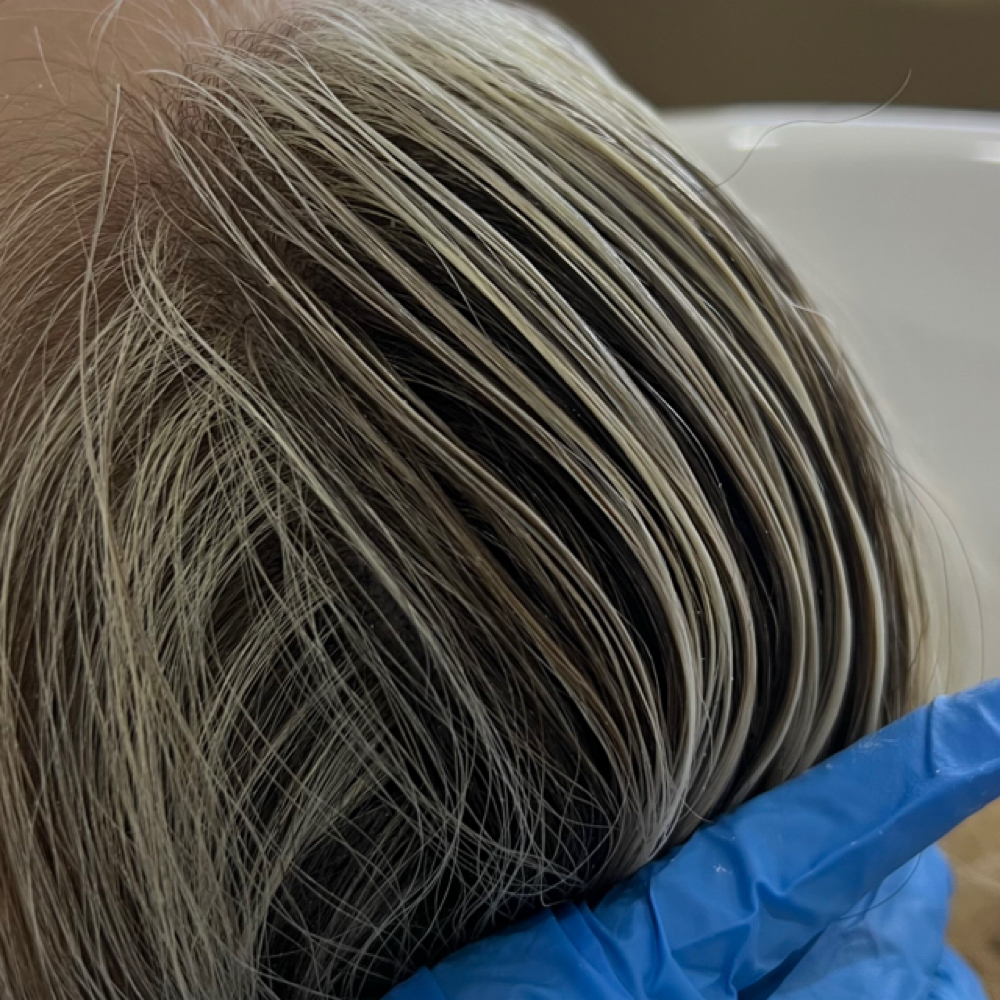 THE SIGNATURE BLONDE at Colors by Ashlynn in Trenton, MI